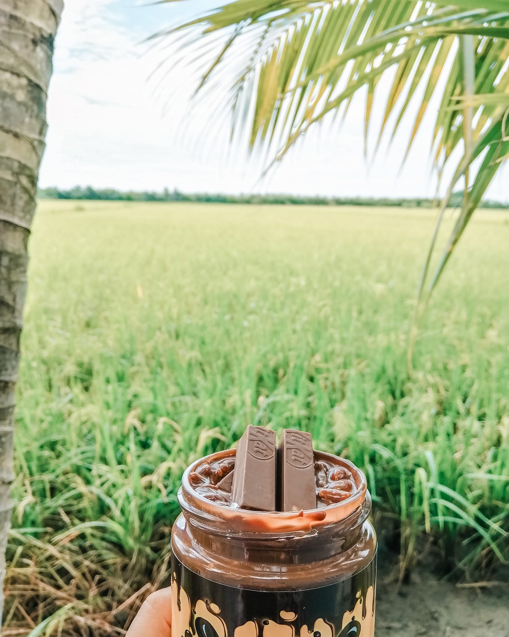 Makan coklat sebegini pasti menyegarkan!