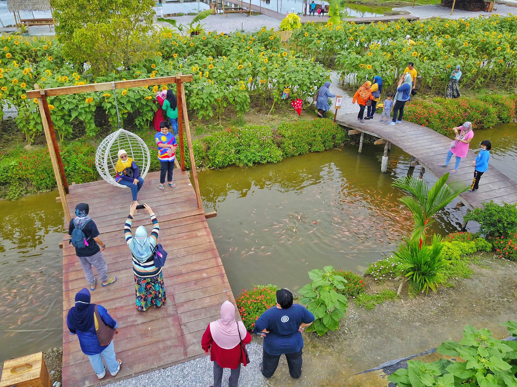 tempat untuk anda memberi ikan makan