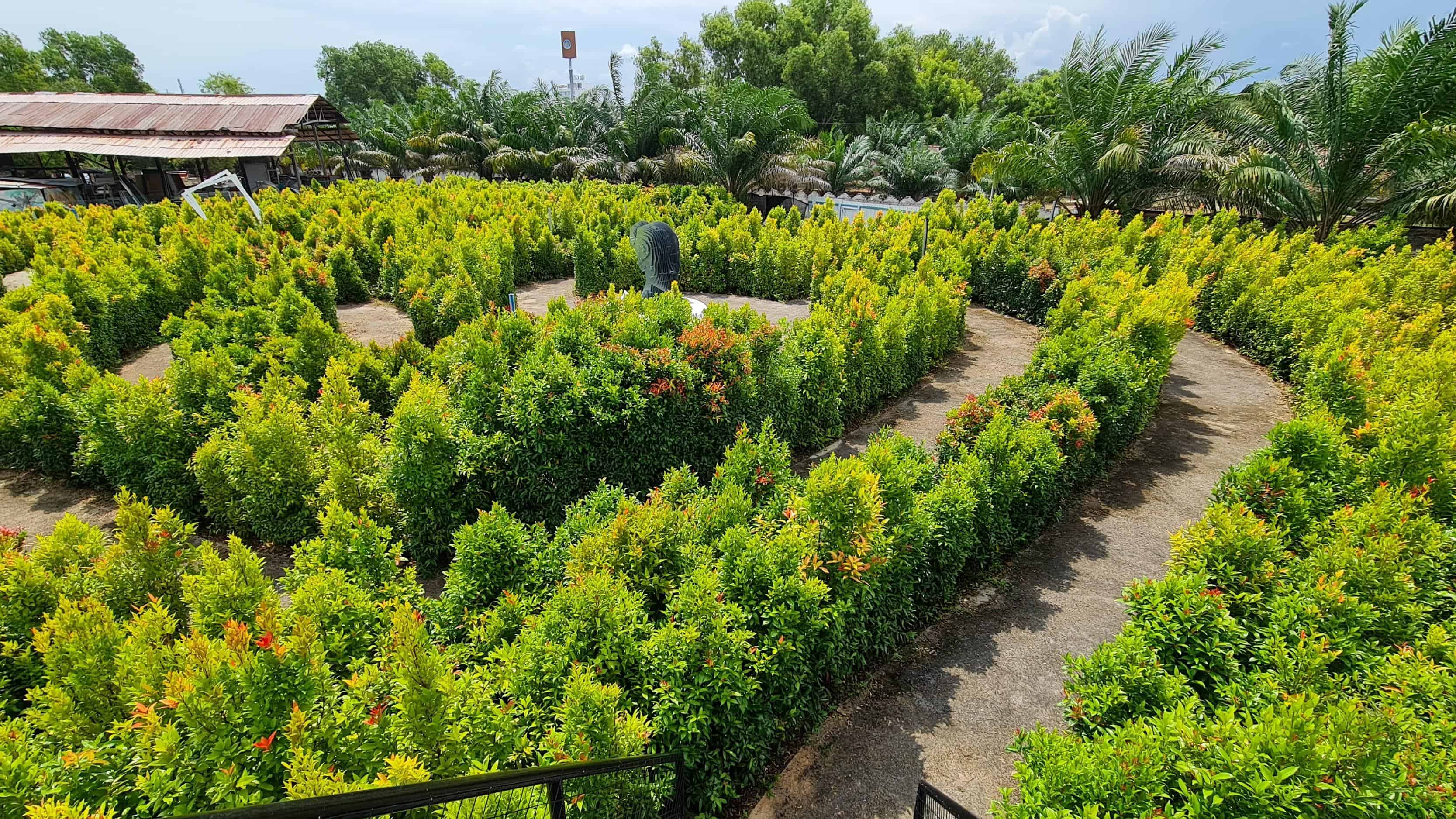 PD Maze Port Dickson