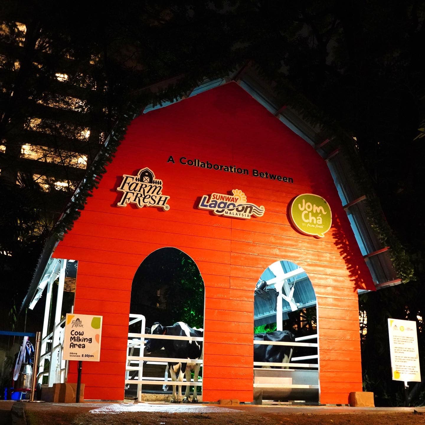 319217932_521205080036676_5469399584182062545_n