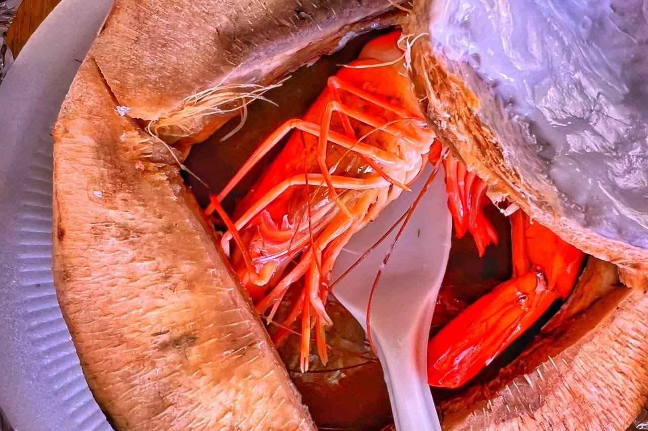 280624247_2323300324476001_4594844784750822492_n