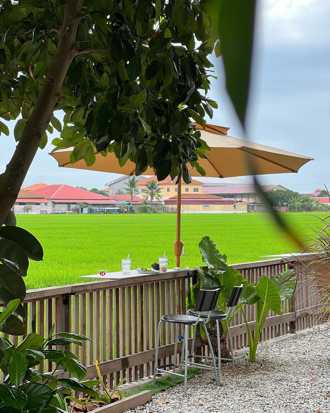 Menikmati suasana yang selesa sambil minum cawan kopi.