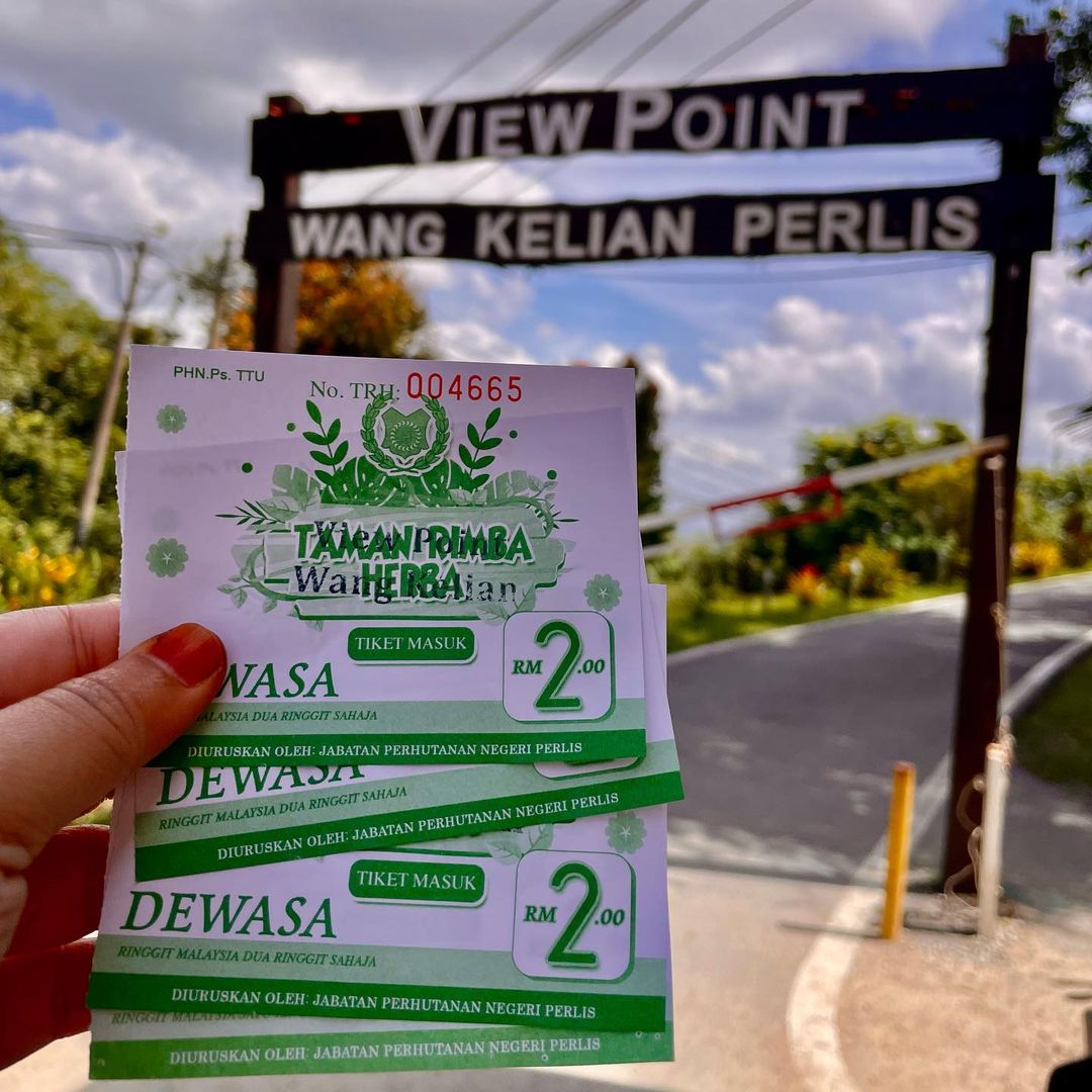 Instagram zara_zaidi2909