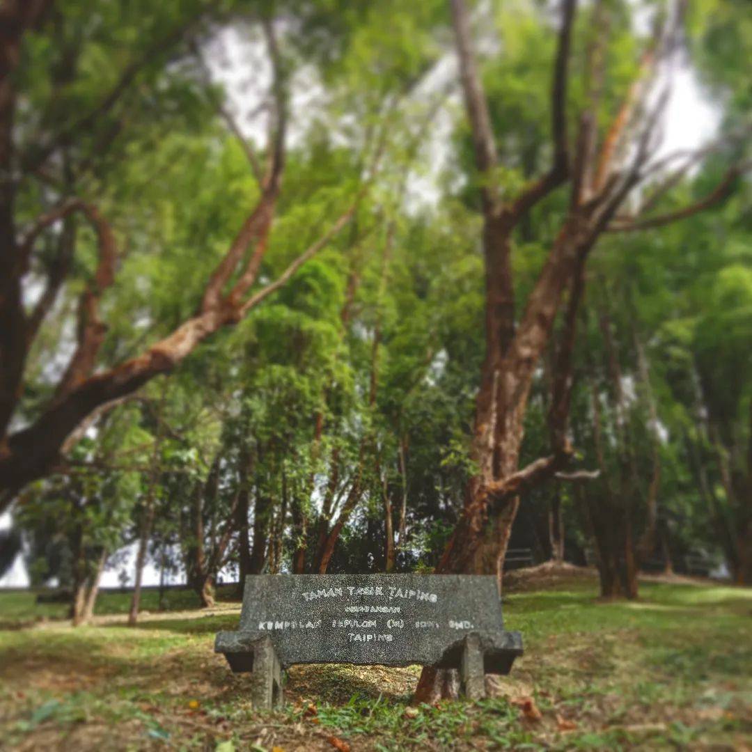 Taman Tasik Taiping