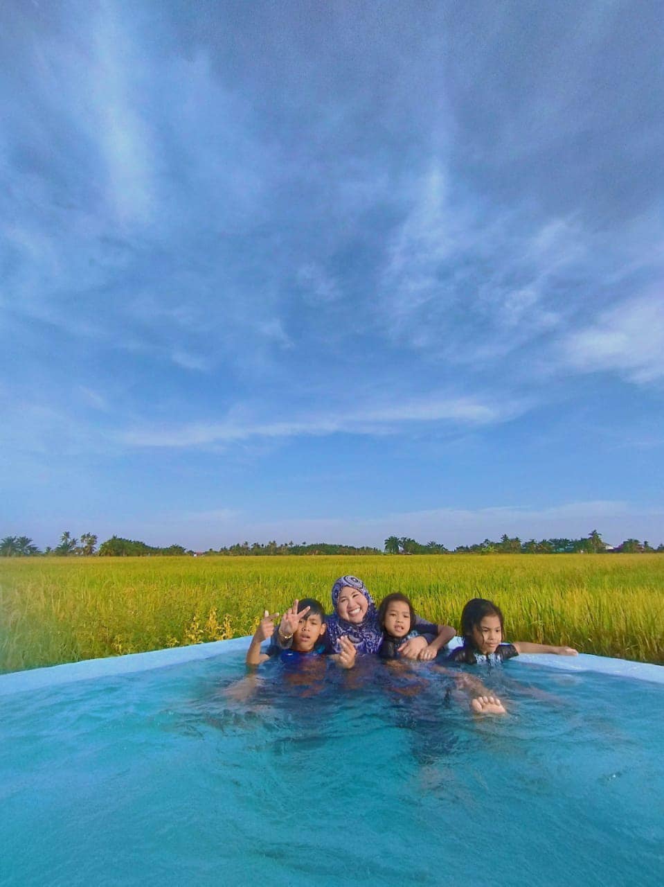 Kolam renang dengan sawah sebagai latar belakang