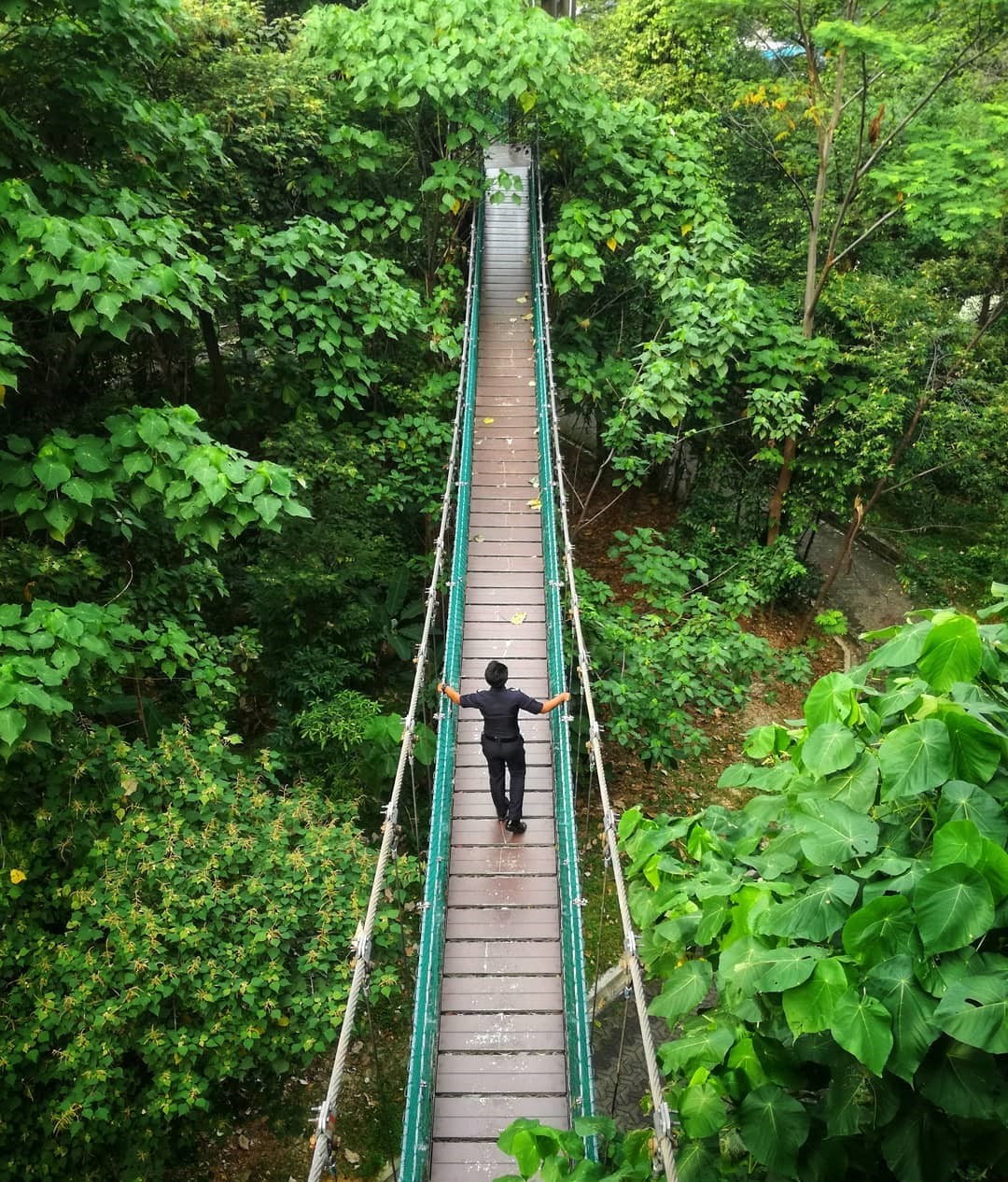 Pemandangan Taman Eko Bukit Nanas