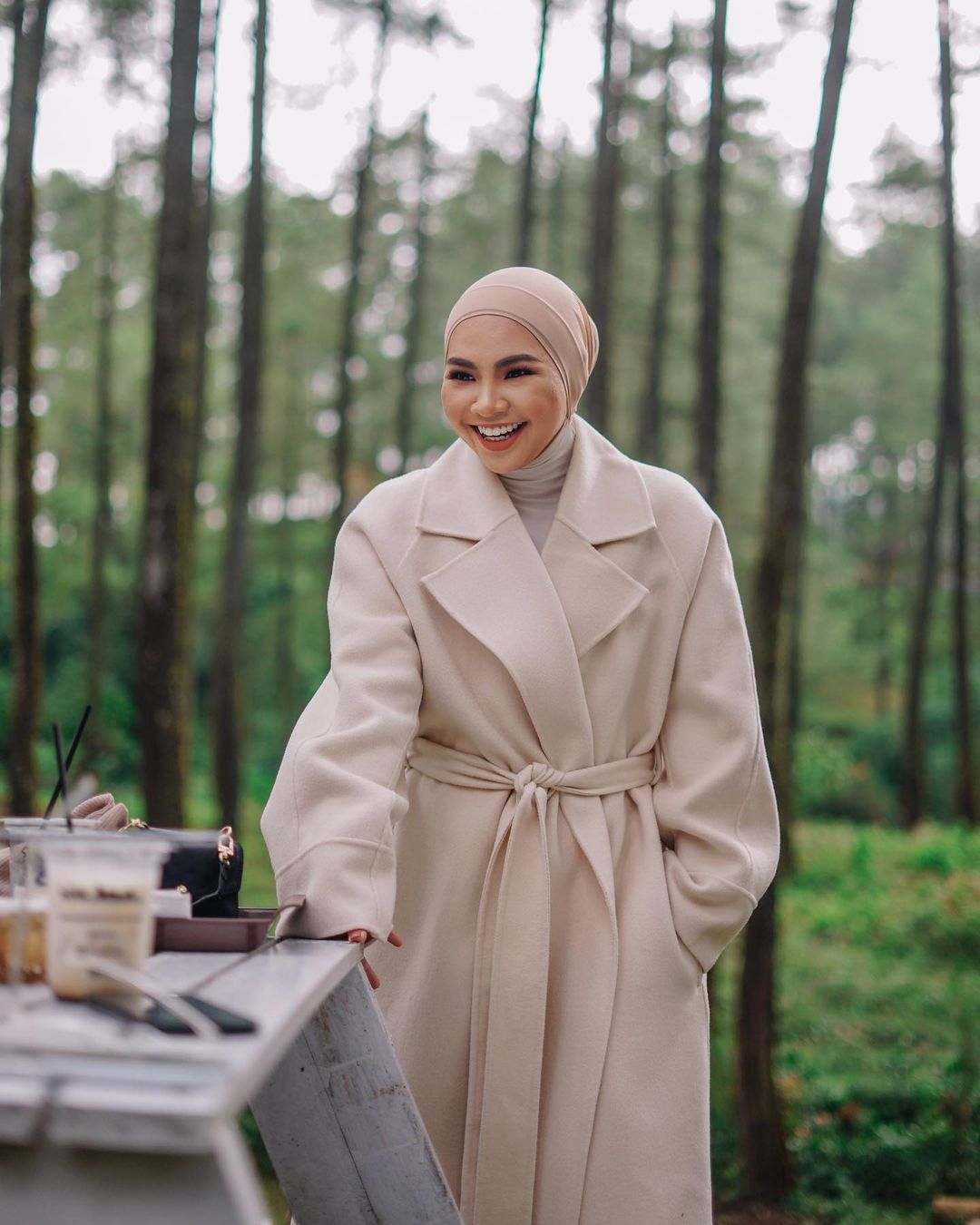 Aina Abdul