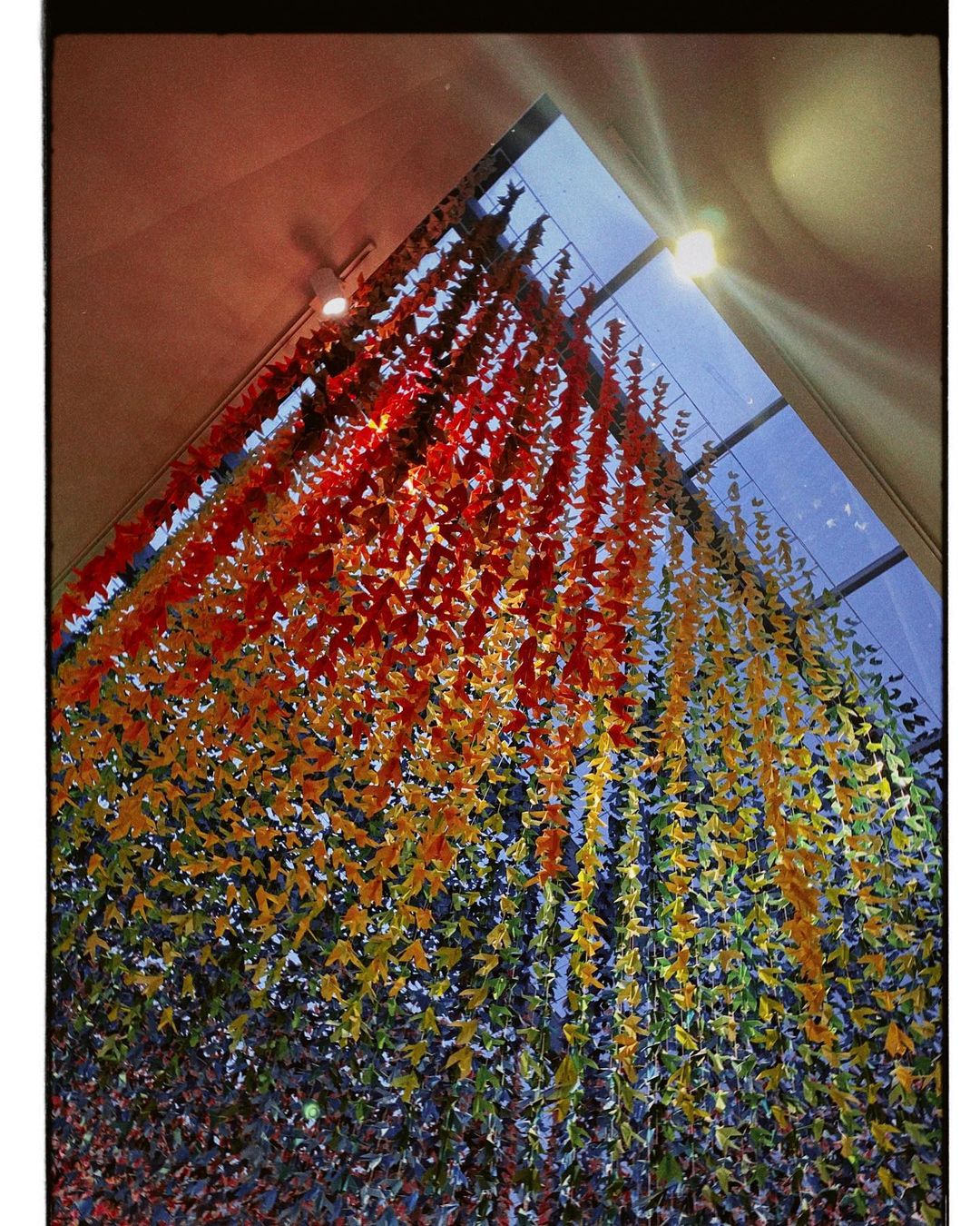 Spot untuk bergambar