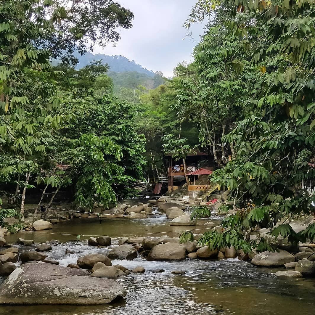 Dikelilingi hutan memberikan suasana alam sekitar tenang aja