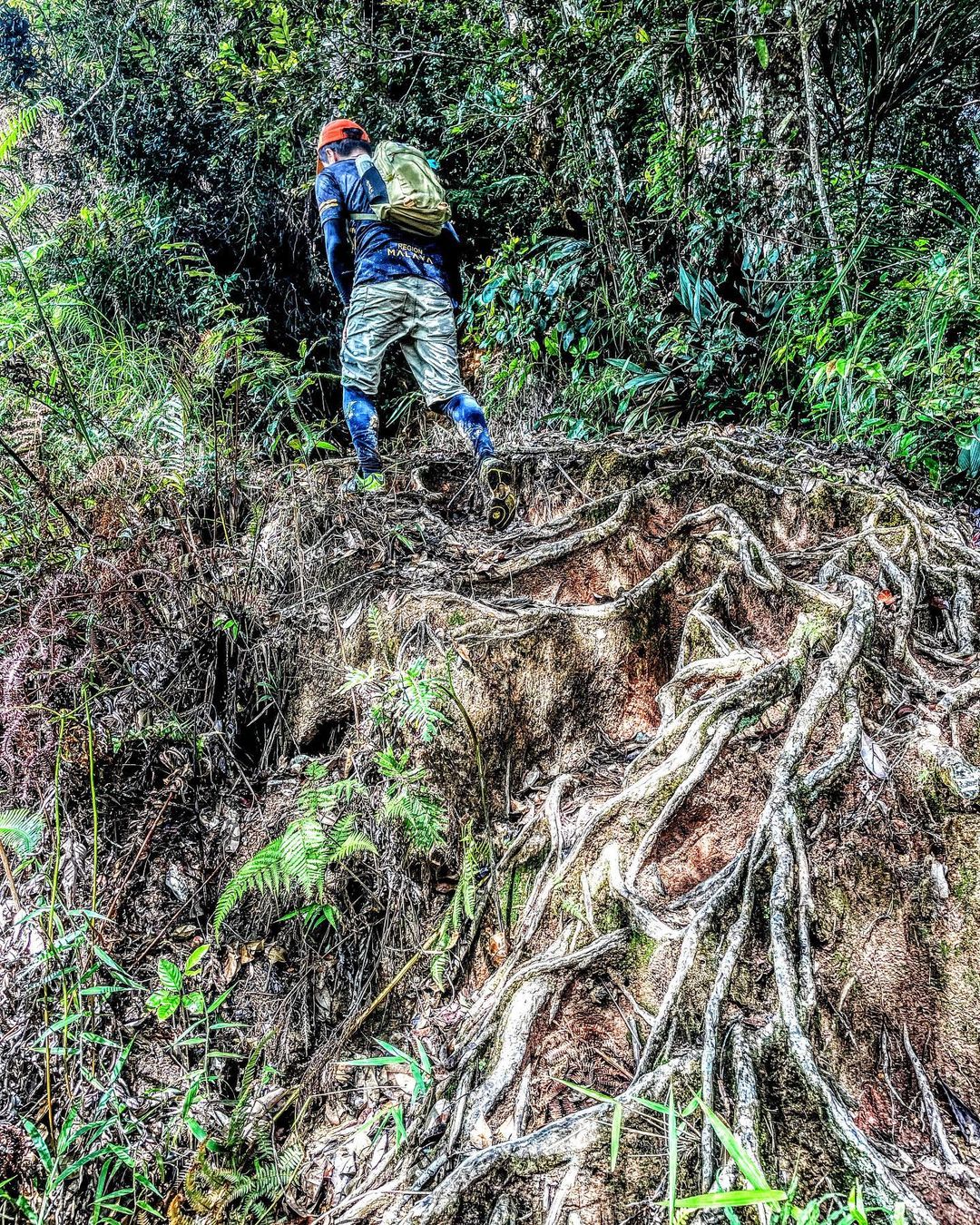 Trek di Bukit Kutu yang mencabar juga.