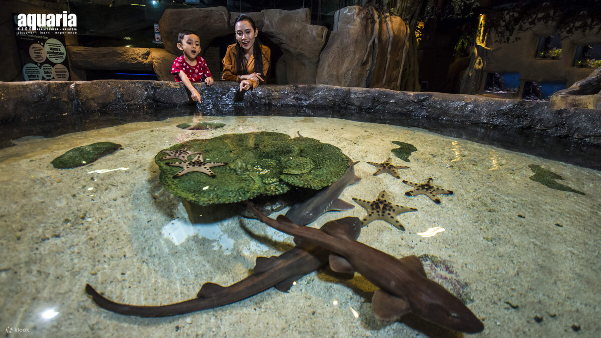 Hiburan dan juga informatif!