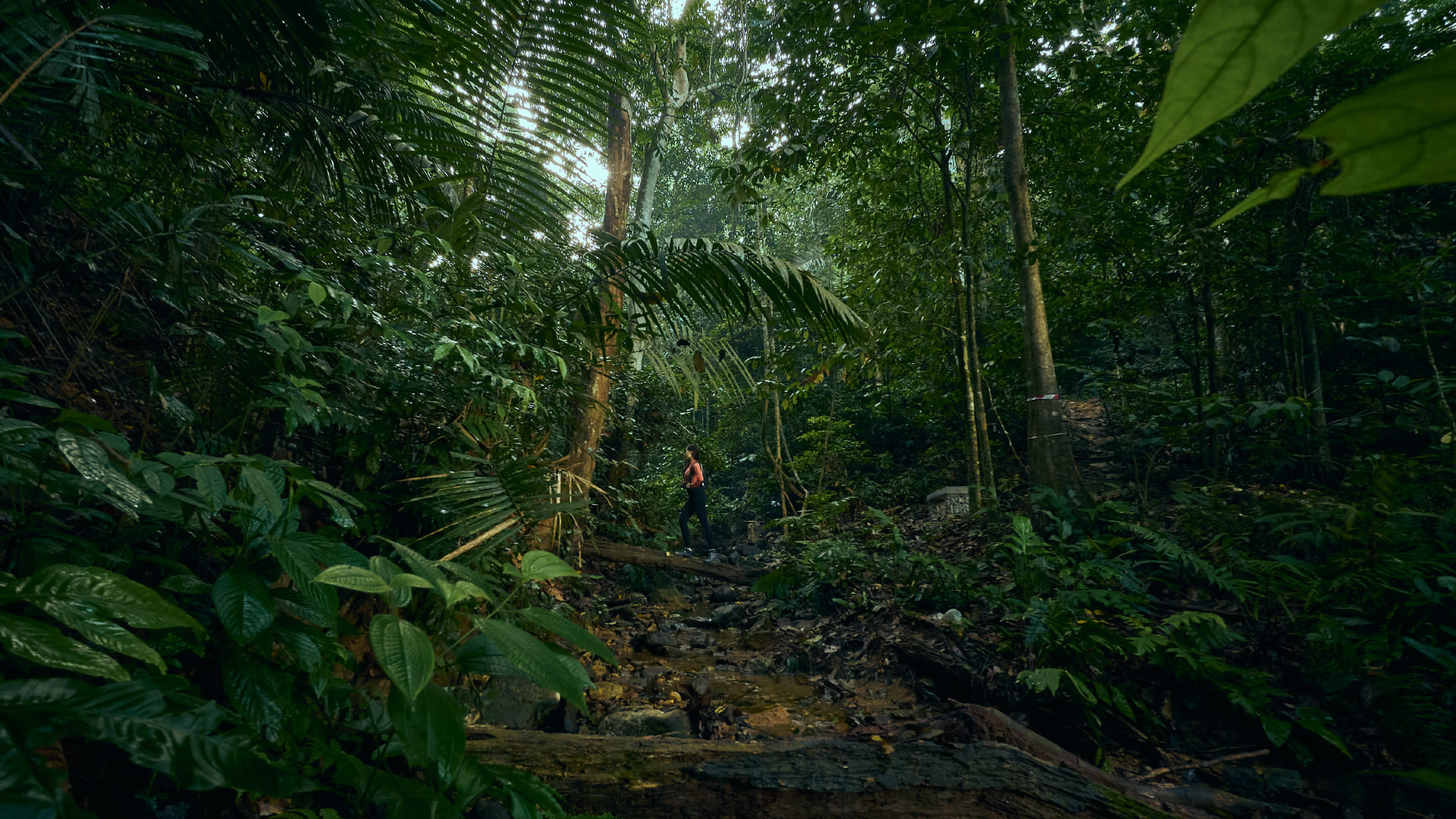 Suasana Yang Hanya Dapat Dinikmati Di Taman Ini Tau!