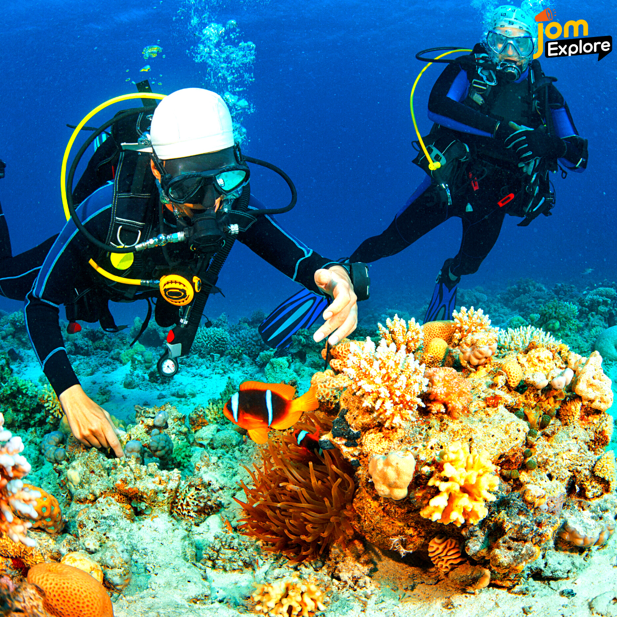 Aktiviti Menyelam Seperti Ini Memerlukan Jam Yang Tahan Lasak!