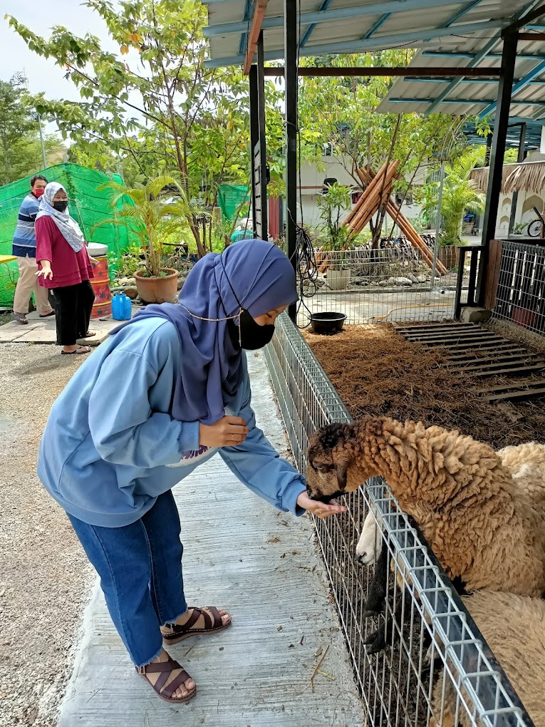 Salah satu haiwan ternakan yang berada disana