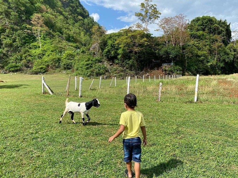 Korang Pun Boleh Bawa Anak-Anak Untuk Berinteraksi Dengan Haiwan Ladang