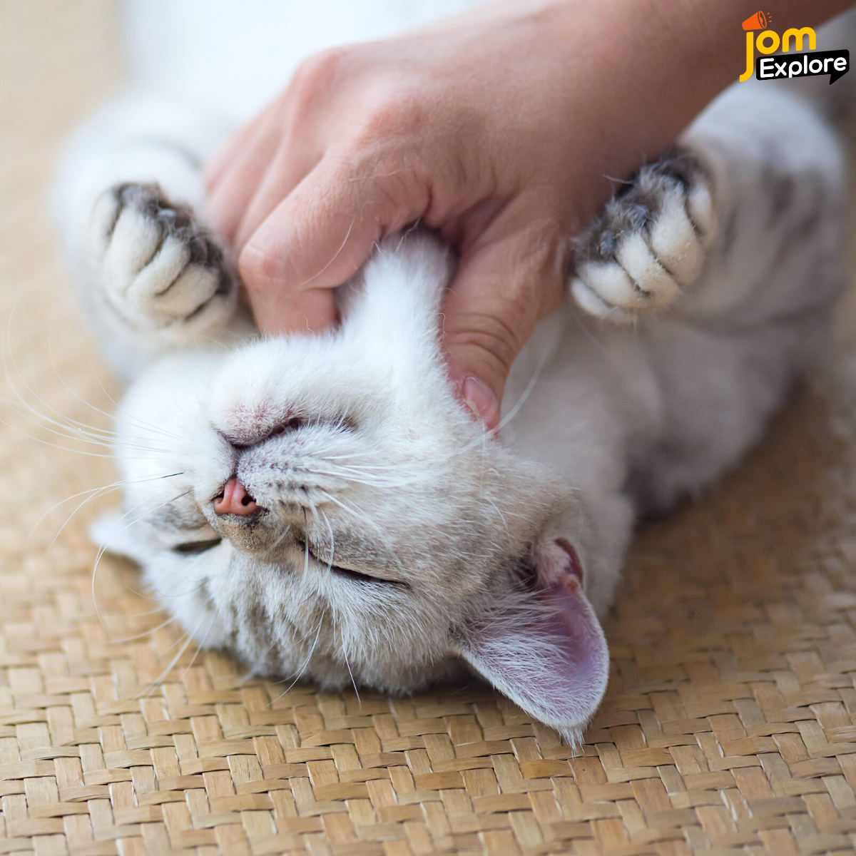 Kalau mereka mengecilkan matai Itu salah satu tanda mereka sayang pada kita