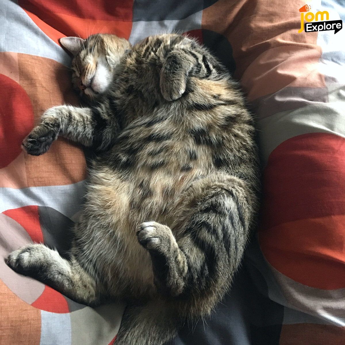 Kalau Mereka Tunjuk Perut, Maksudnya Mereka Percaya Kita