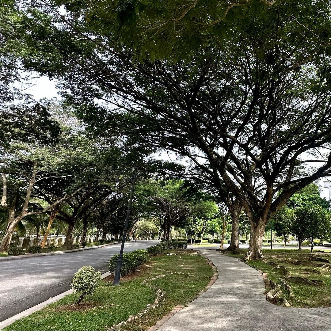 Dihiasi Dengan Pokok Hijau Buatkan Suasana Santai