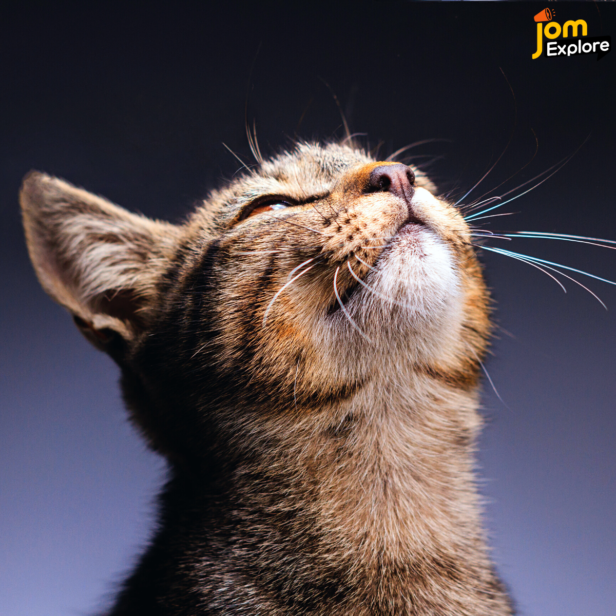 Mereka Akan Sentiasa Berkomunikasi Dengan Kita Sebagai Tanda Kepercayaan