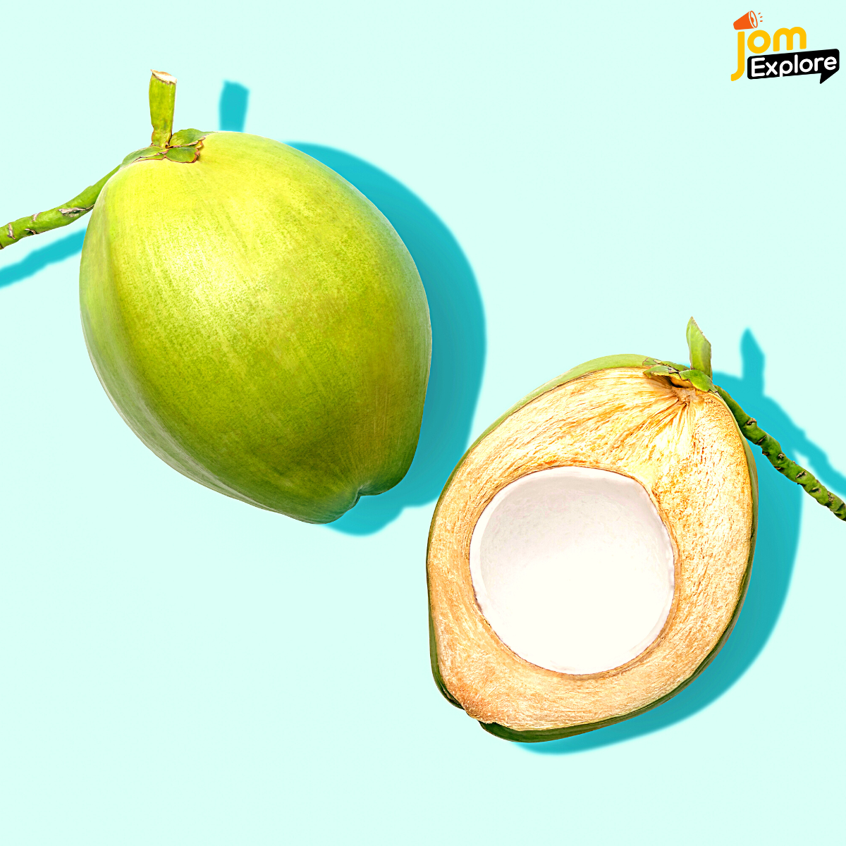 Buah Kelapa Mempunyai Pelbagai Guna Tau