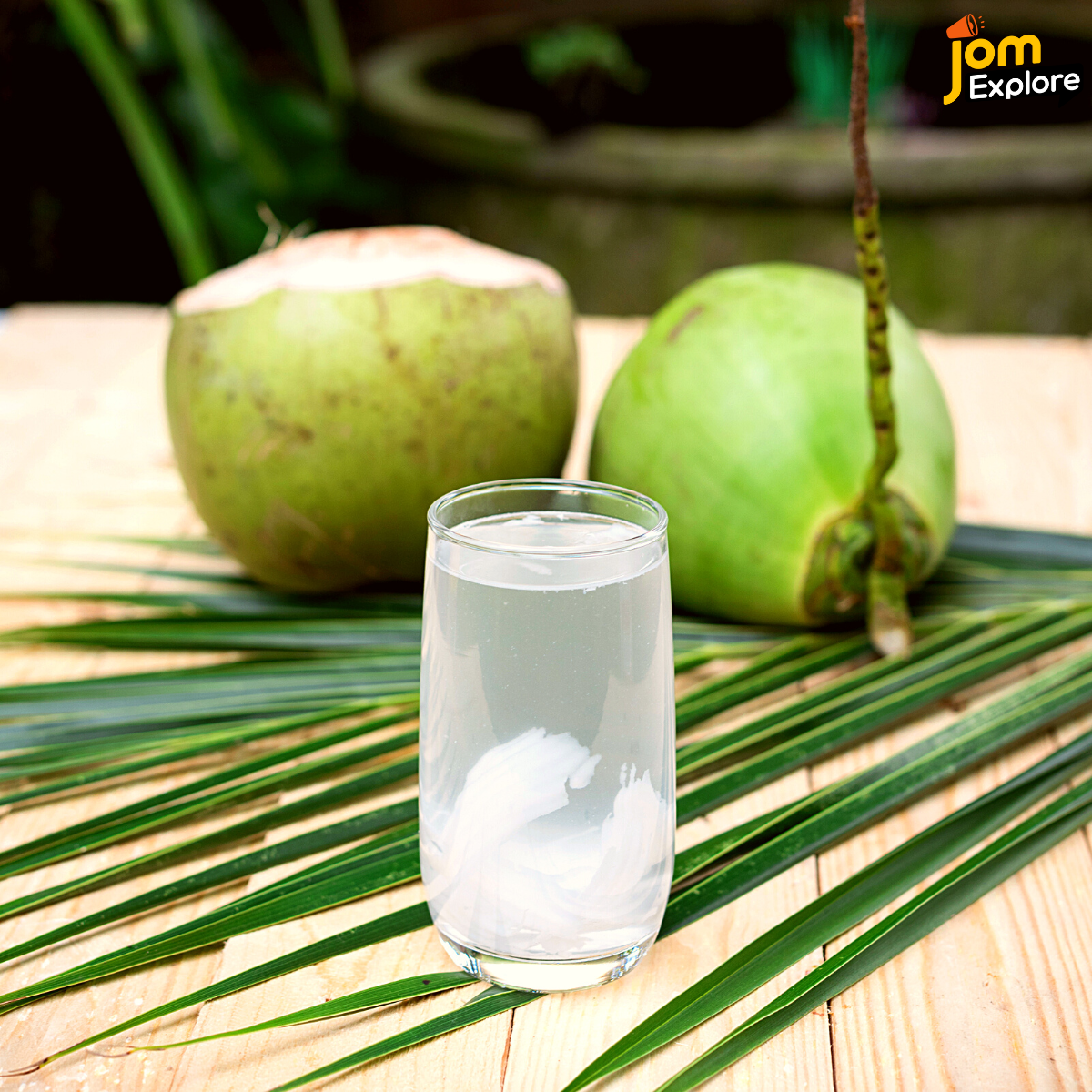 Air Kelapa Bukan Sahaja Menyegarkan Malah Sesuai Untuk Cuaca Panas Negara Kita