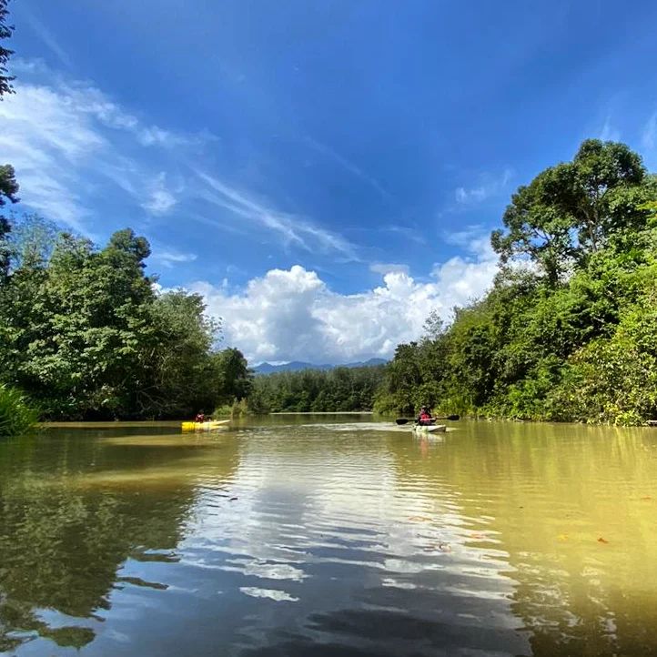 Rasai Pesona Sungai Amazon ala Malaysia!