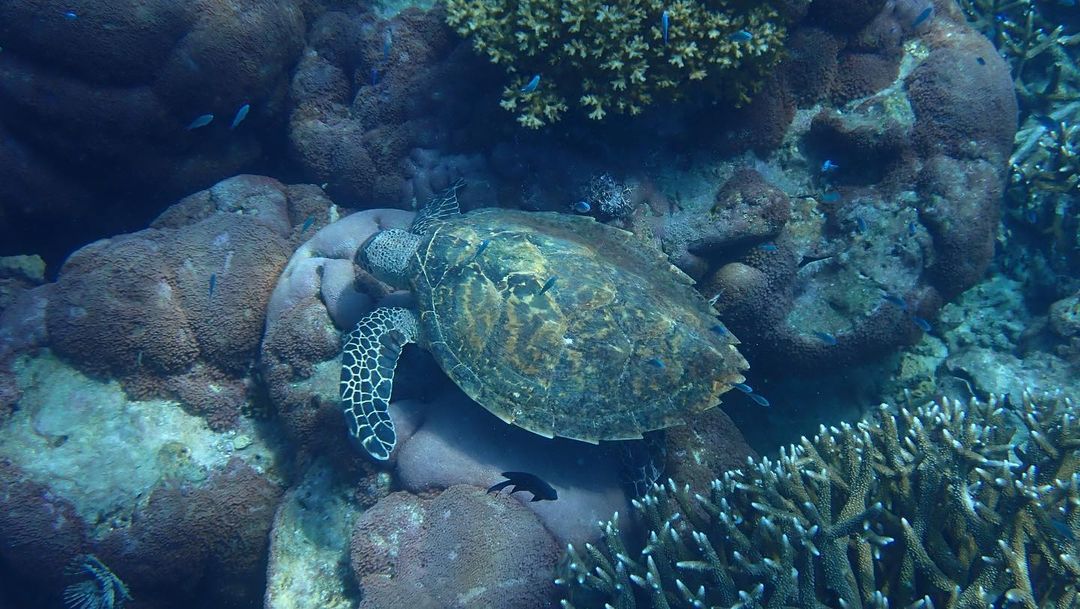 Antara terbaik di Malaysia meskipun tak ramai yang tahu tentang pulau ini.