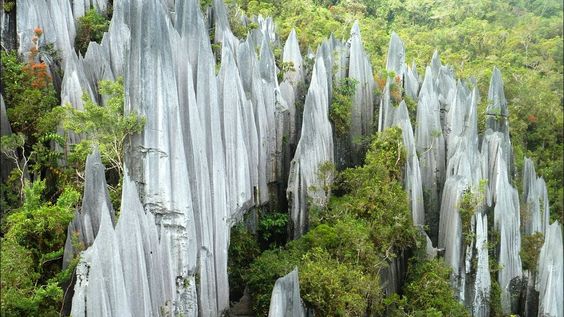 Keunikkan Taman Negara Gunung Mulu Sungguh Menakjubkan