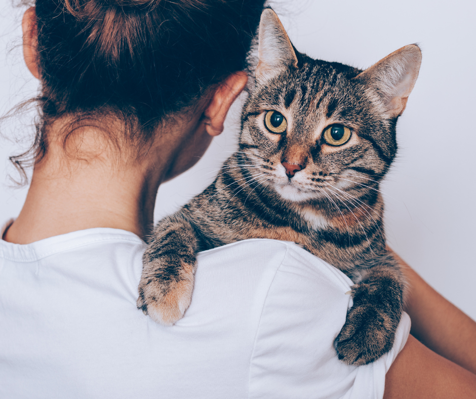 Memang manja itu sifat semulajadinya.