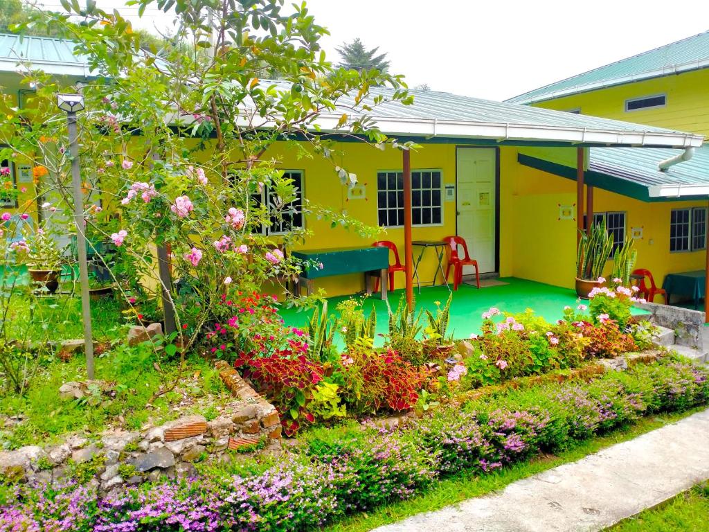 Warna Kuning Warna Menghangatkan, homestay yang tenang di Kundasang Sabah