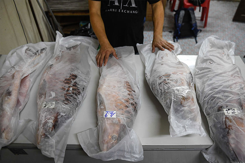 Kalau saiz macam ni harga dia boleh buat kita menangis