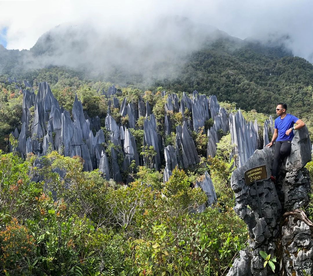 Jelajahi puncak mulu: pesona batu kapur di borneo.