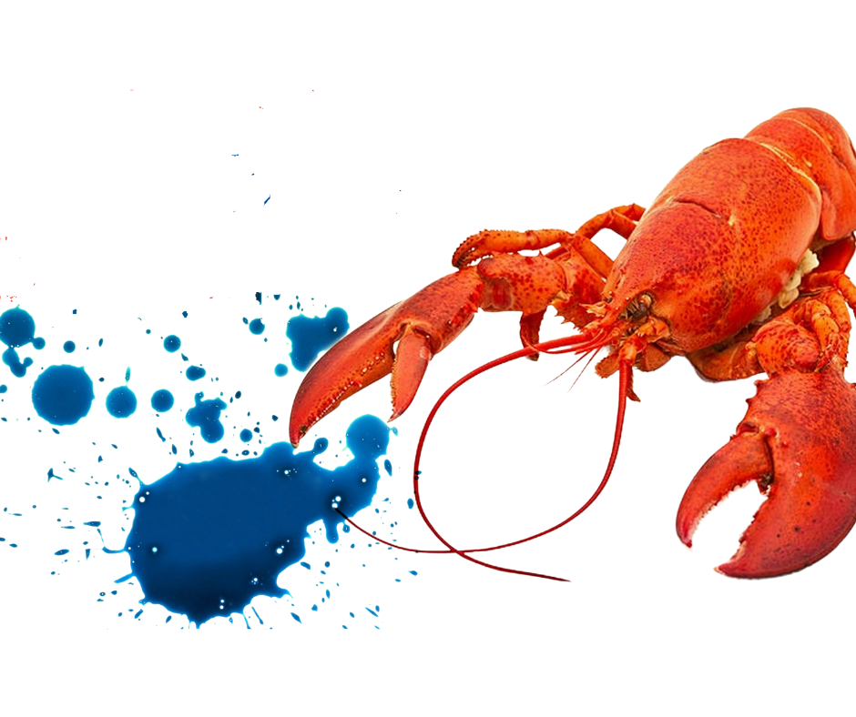 Darahnya berwarna biru?