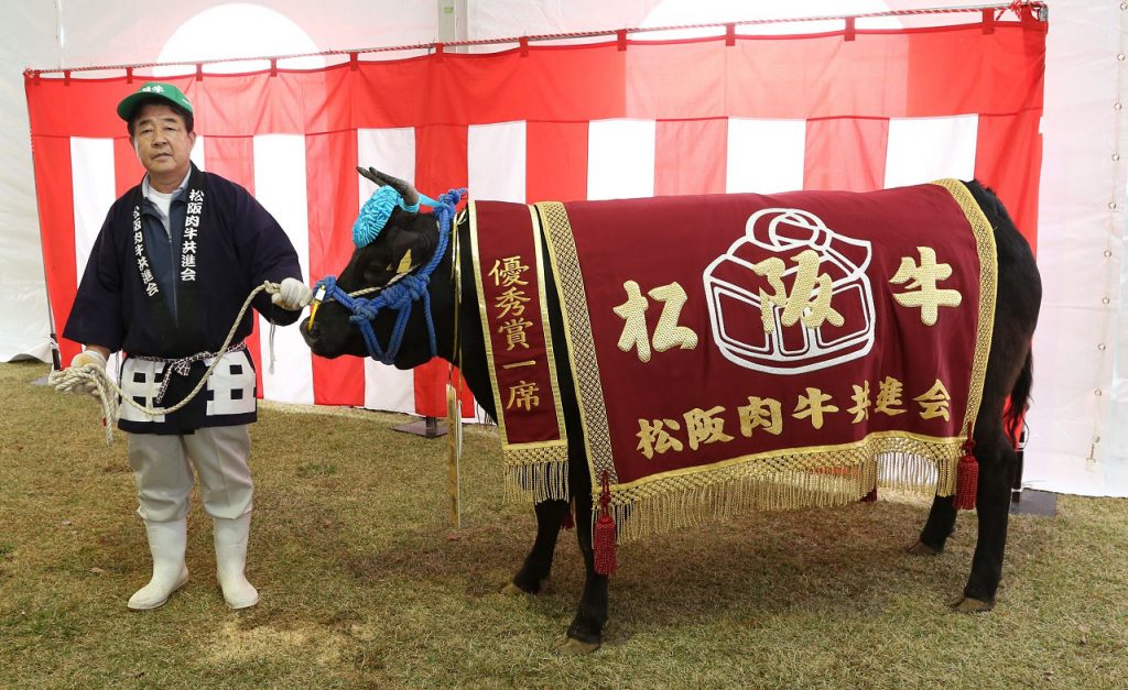 Setiap lembu wagyu dijaga dengan penuh cermat seperti ini