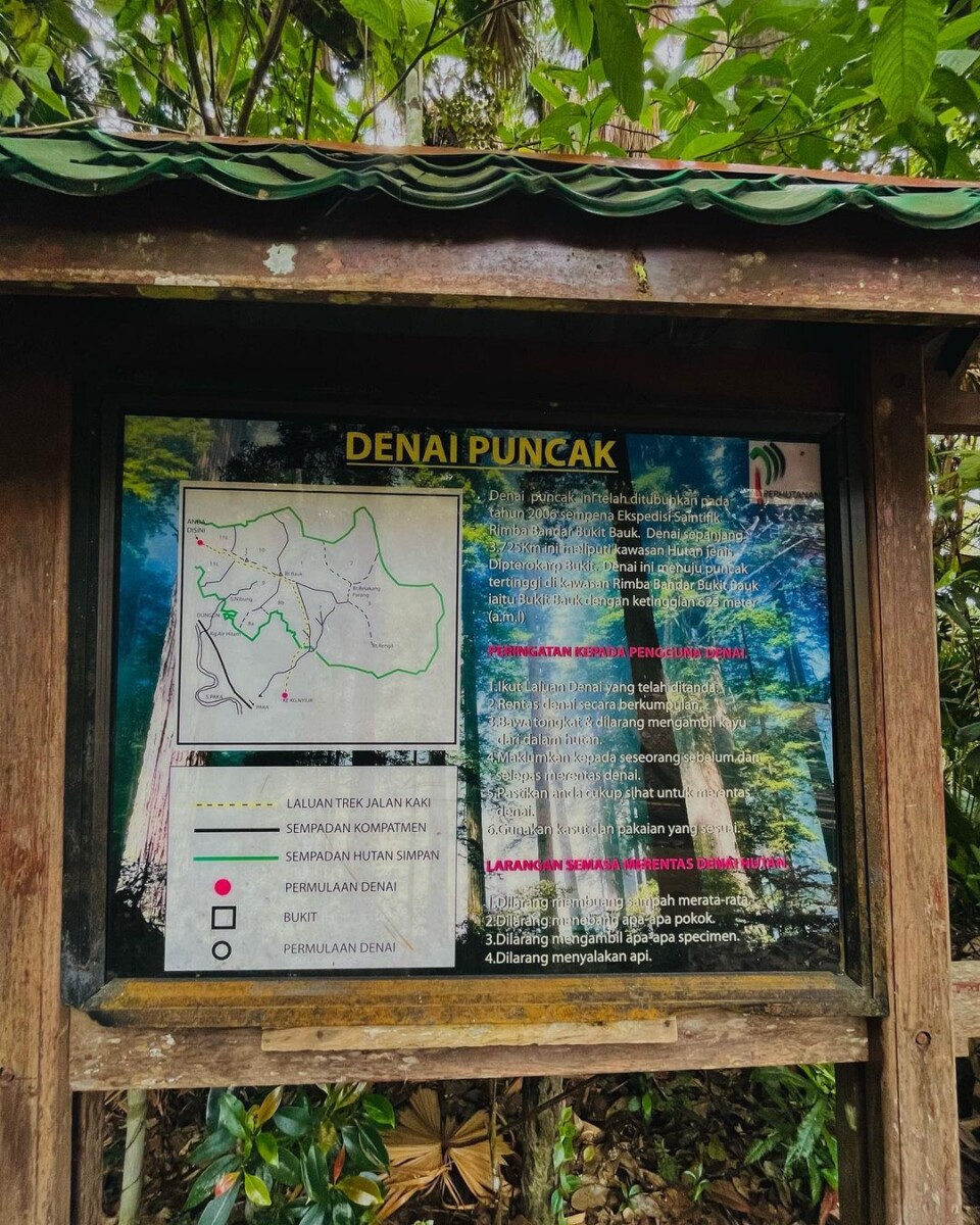 Merentasi Denai Keindahan Semulajad