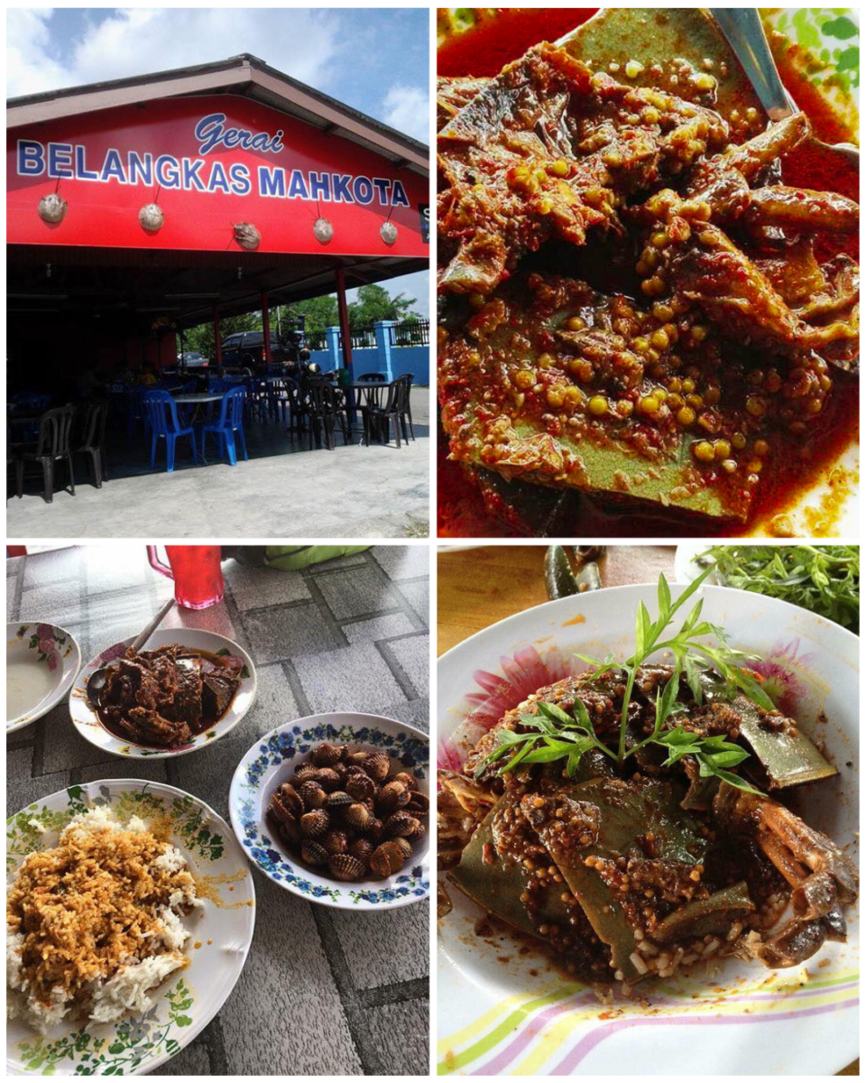 Hidangan paling orang cari kat sini ialah belangkas sambal memang 10 kali ganda lebih sedap dari ketam!