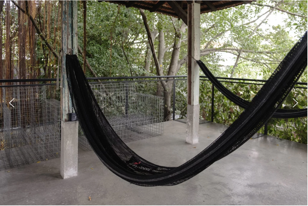 Ada banyak ruang nak berehat seperti hammock ini untuk lupakan segala stress