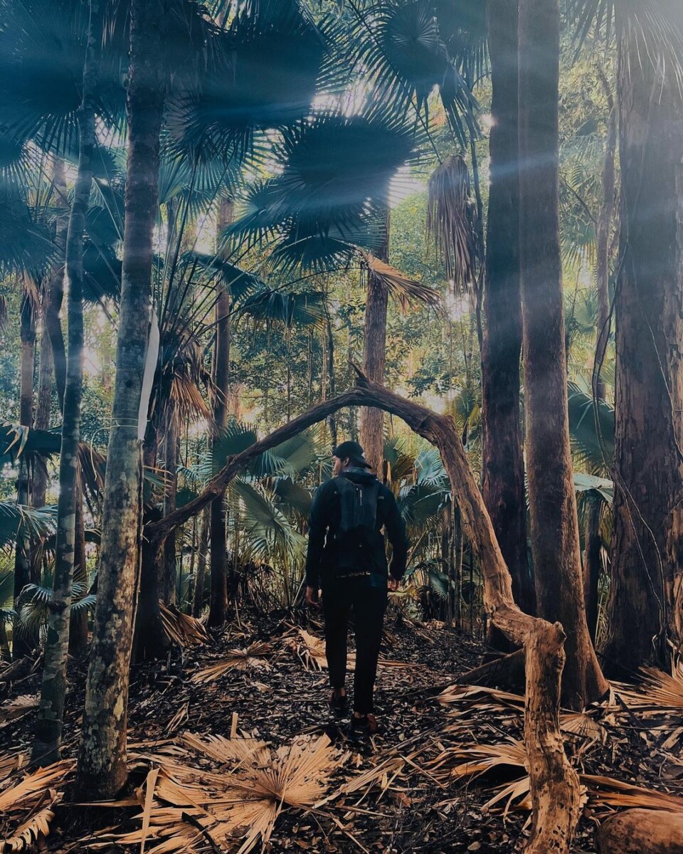 Jelajahi keunikan dan kecantikan di setiap langkah.