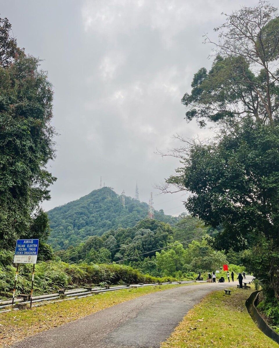 Dalam pelukan alam: Mendaki Bukit Bauk untuk ketenangan dan kepuasan