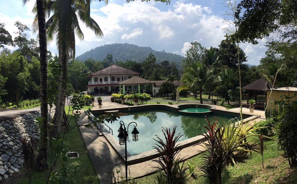 Daun Retreats: Tempat penginapan eksklusif yang menyatu dengan keindahan alam. Setiap vila uniknya memberikan pengalaman staycation tak terlupakan