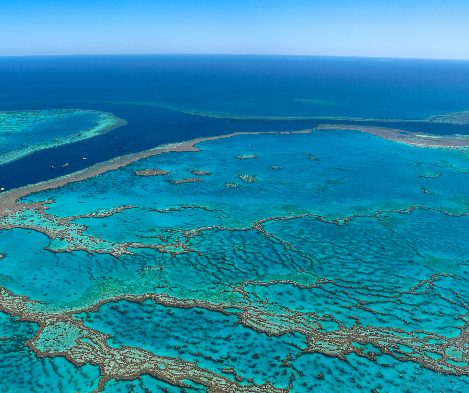 Fakta Menarik Australia - Great Barrier Reef: Keajaiban Terumbu Karang Terbesar di Dunia! 
