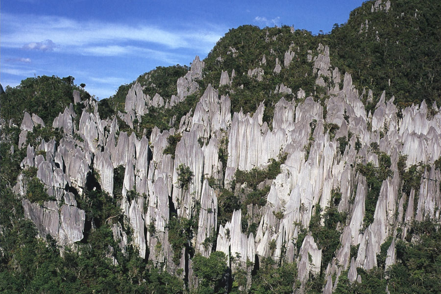 Taman Negara Mulu yang terkenal dengan gua batu kapur