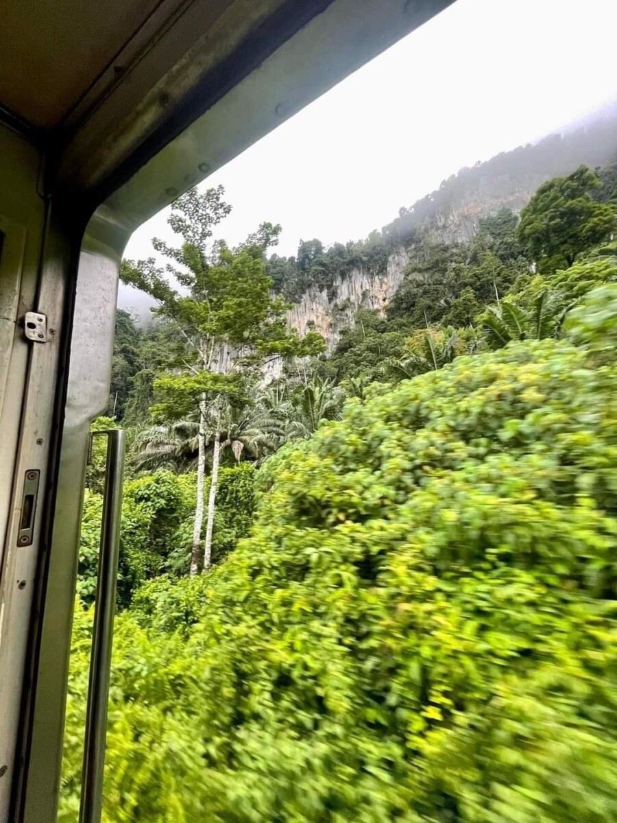 Korang akan melalui hutan, bukit yang menghijau