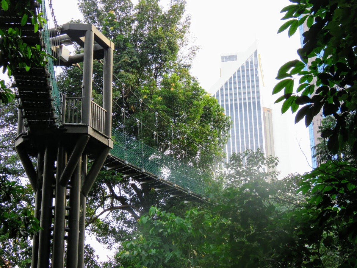 Di sini korang boleh nikmati keindahan flora fauna