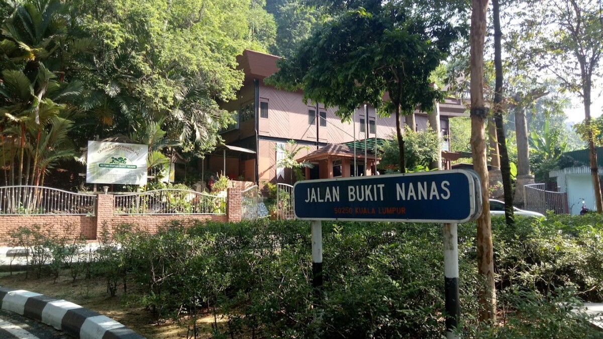 Haa.. terkejut bila dapat tau ada hutan simpan di tengah tengah bandar