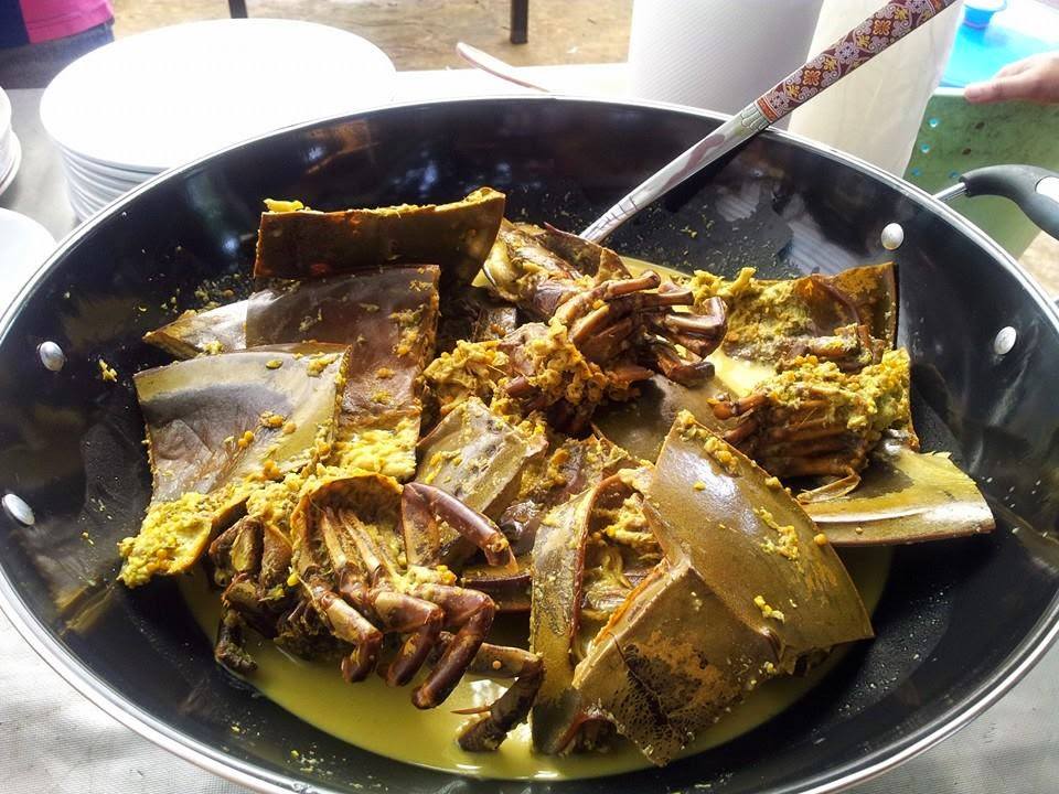 Ramai masak belangkas lemak cili appi!