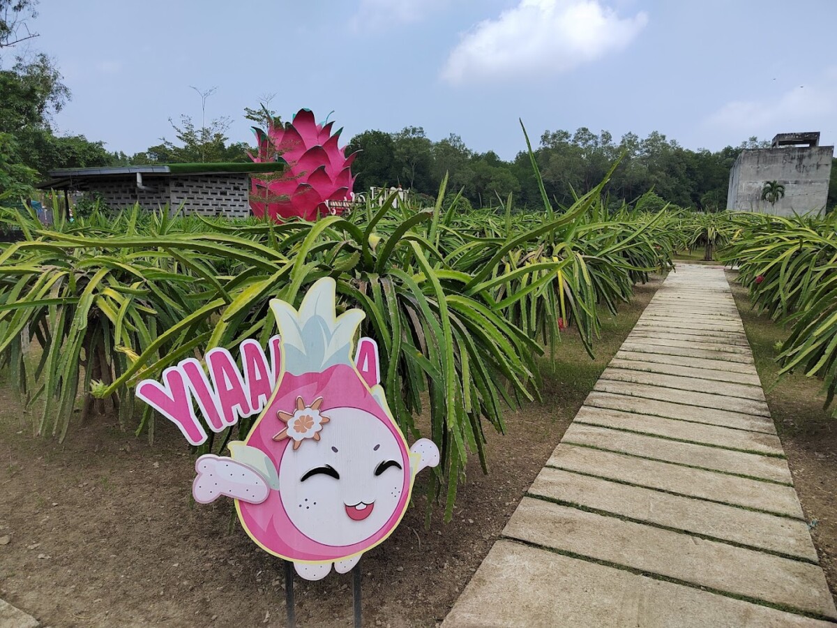 Asalnya ialah ladang persendirian sebelum berubah