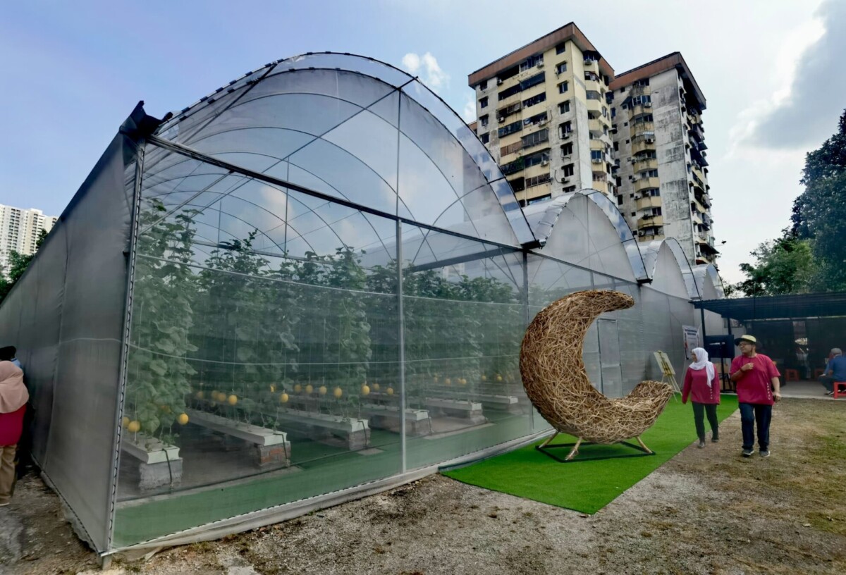 Konsep tanaman hidroponik sangat sesuai dalam kawasan bandar