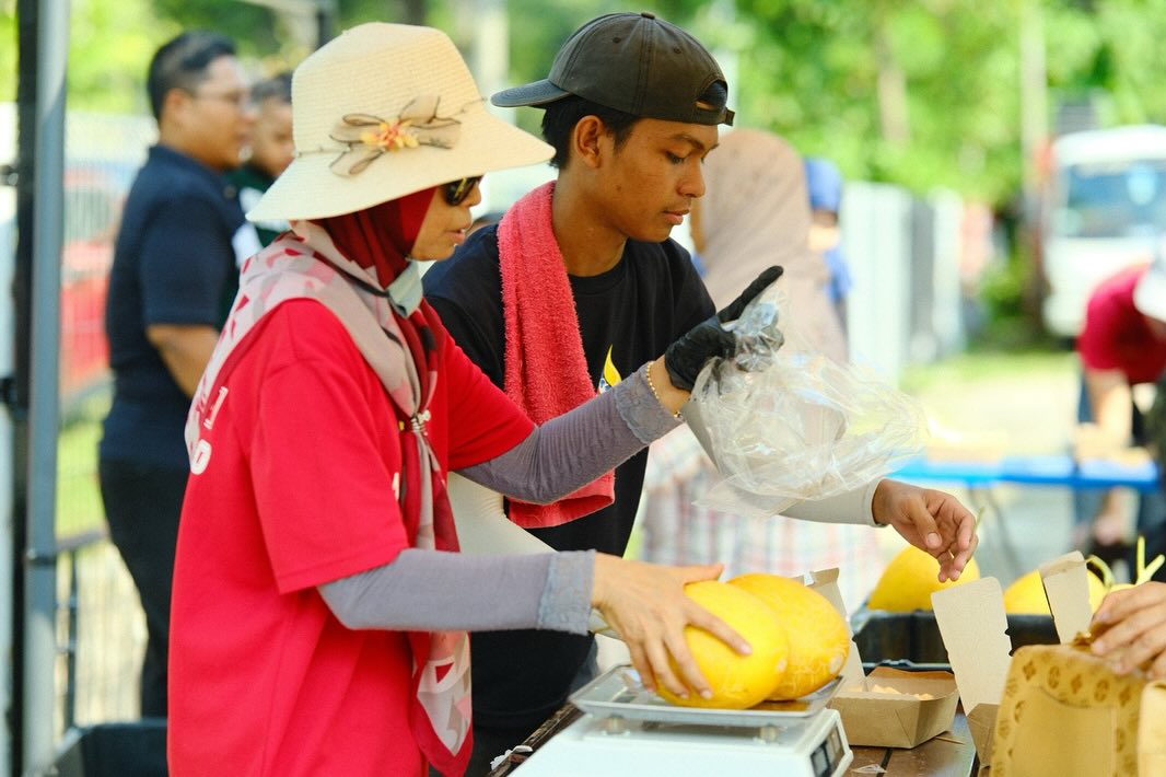 Dalam masa 2 bulan dapat mengeluarkan banyak hasil untuk dinikmati