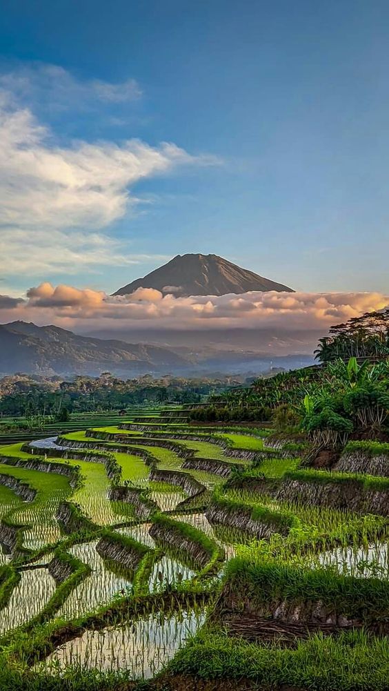 Wahh tenangnya lihat permandangan sehijau ini